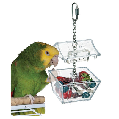 Foraging Parrot Treasure