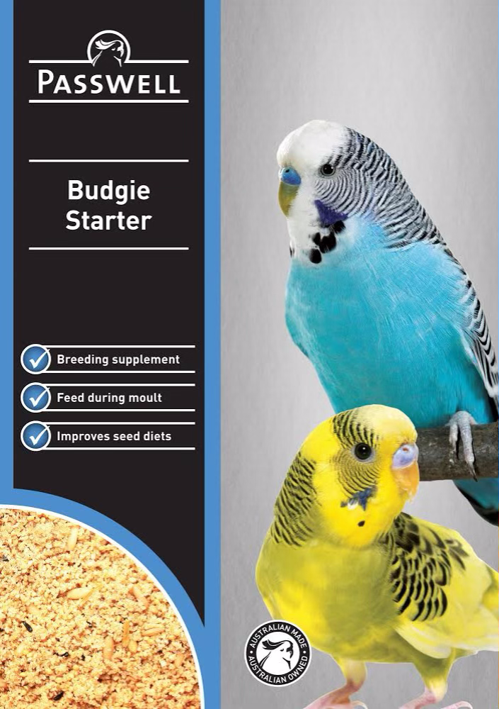 Budgie Starter