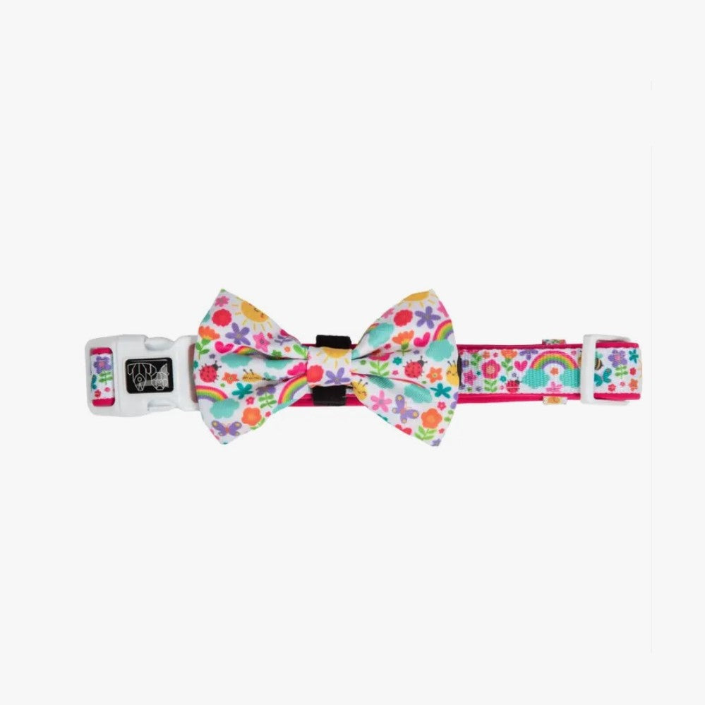 Follow The Rainbow - Dog Collar & Bow Tie