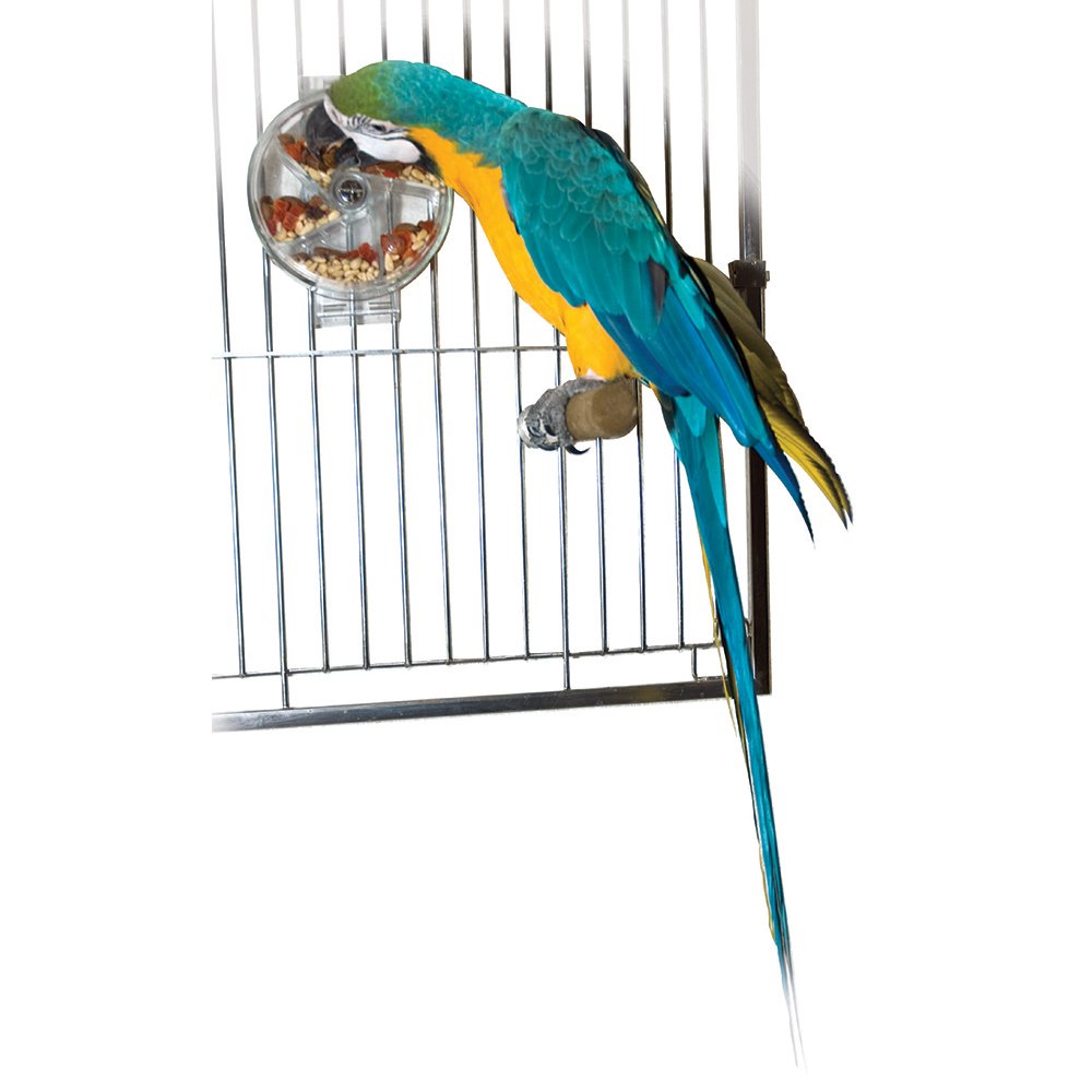 Featherland Paradise Foraging Wheel Bird Toy