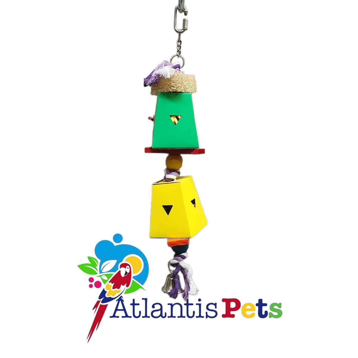 Dual Cardboard Coloured Foraging Box – Atlantis Pets