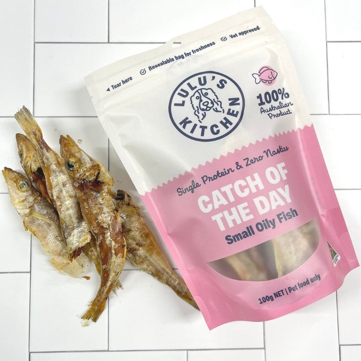 Catch Of The Day - Small Oily Fish