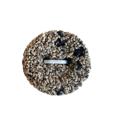 Sprouting MixIodine Grit Button Charcoal Grit Button
