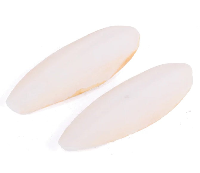 External Cuttlebone Cuttlebone Natural 2 Pack