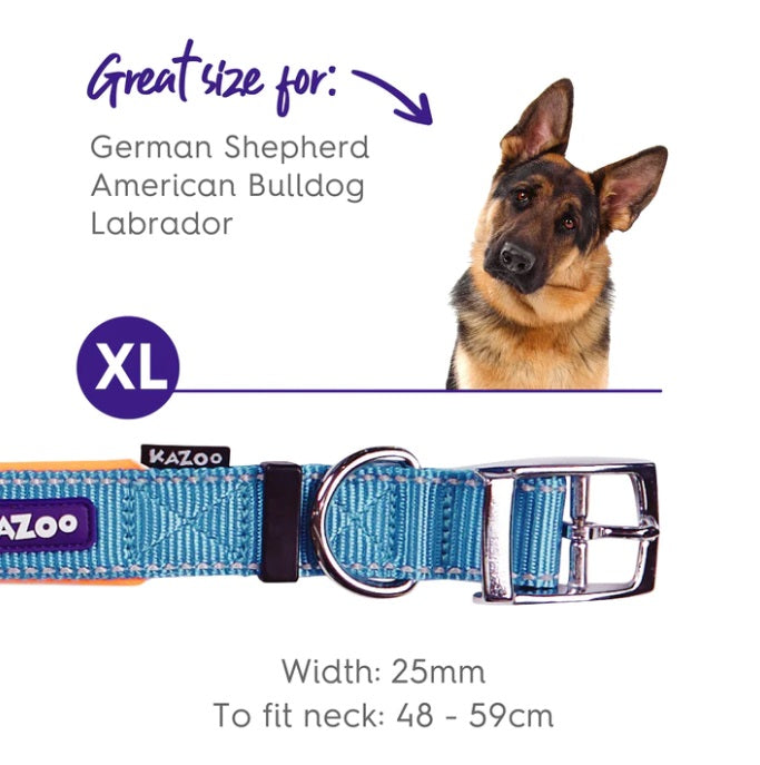 Kazoo Active Nylon Buckle Collar