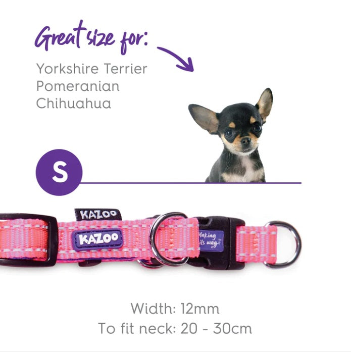 Kazoo Active Nylon Buckle Collar