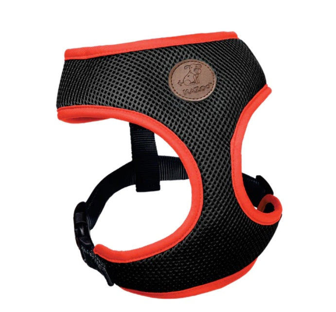 Kazoo Active Soft Walking Harness