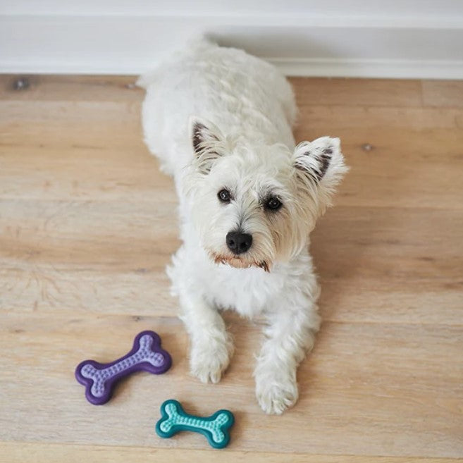 Puppy Teether