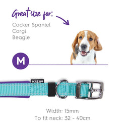 Active Nylon Buckle Collar