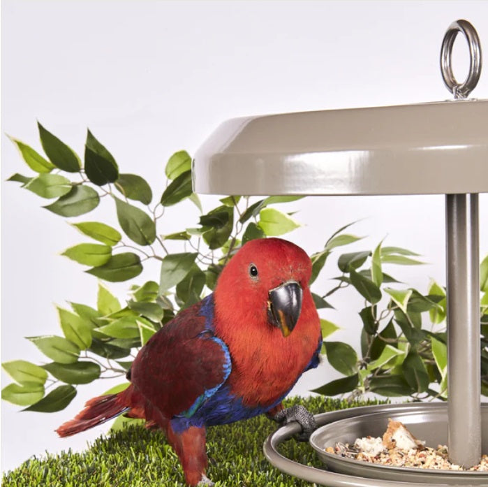Outdoor Bird Feeder