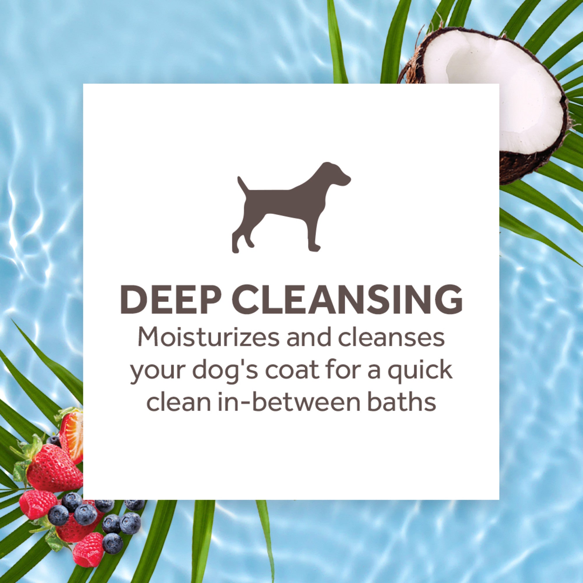 Berry & Coconut Deep Cleansing Waterless Shampoo For Dogs